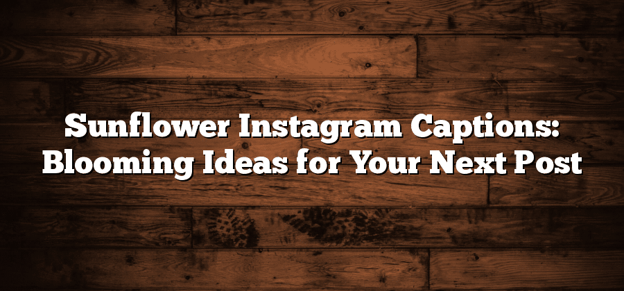 Sunflower Instagram Captions: Blooming Ideas for Your Next Post