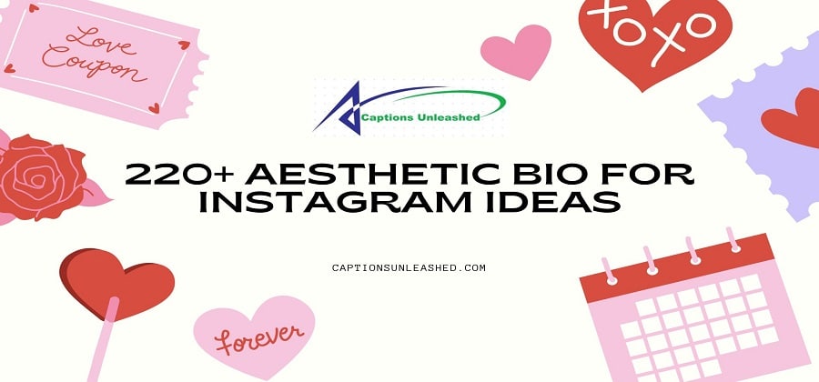 Aesthetic Bio for Instagram Ideas