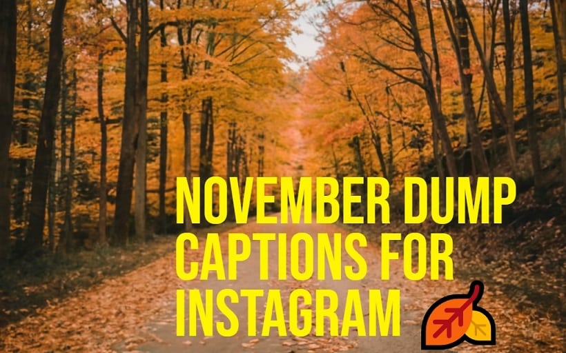 November Dump Captions for Instagram main
