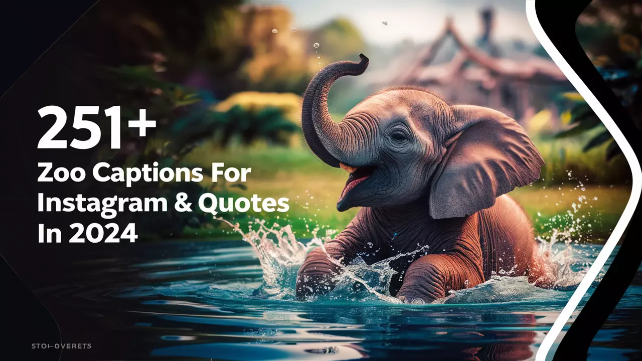 Zoo Captions For Instagram & Quotes in 2024