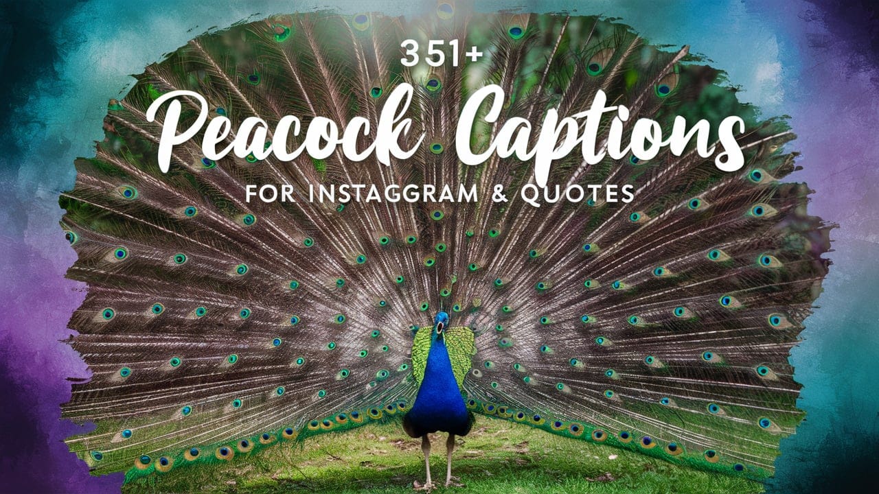 Peacock Captions For Instagram & Quotes