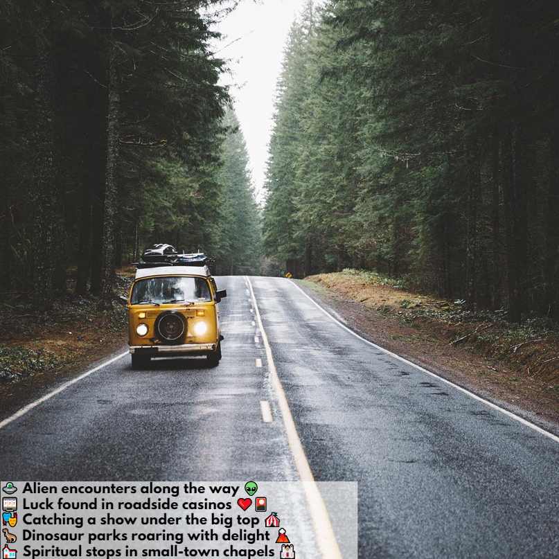 quirky road trip captions