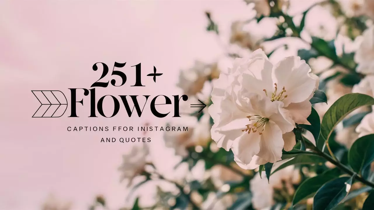 White Flower Captions For Instagram and Quotes