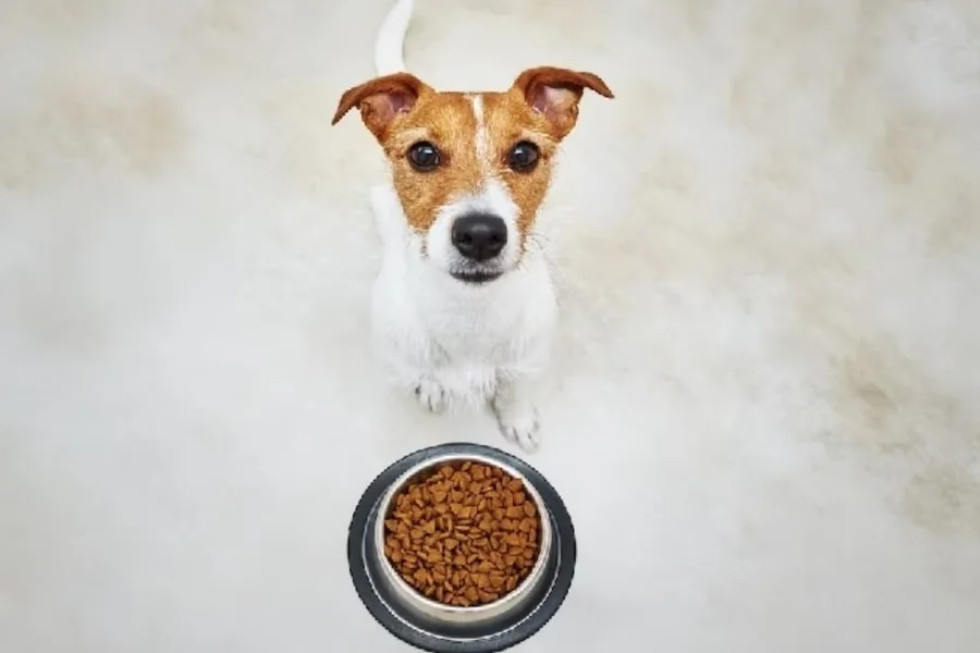 Nutrition And Weight