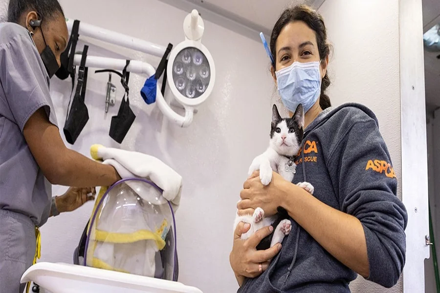 Why Animal Clinics Are Vital In Urban Communities