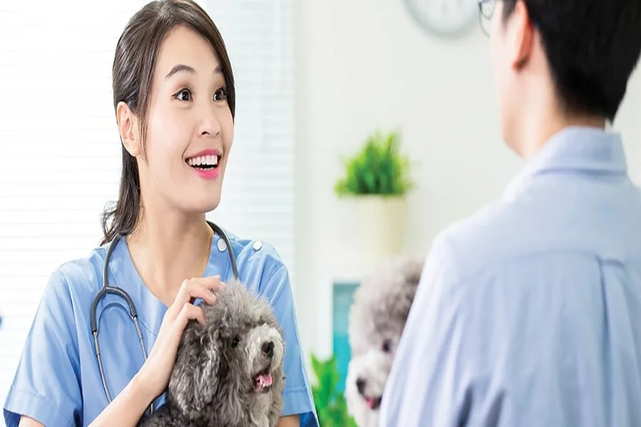 How Veterinary Clinics Build Lasting Client Relationships