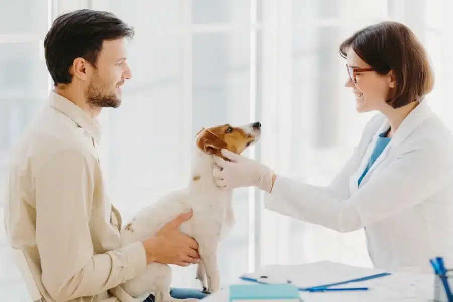Animal Hospital