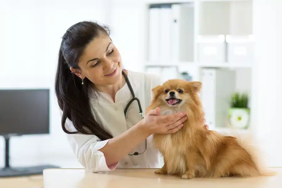 General Veterinarians
